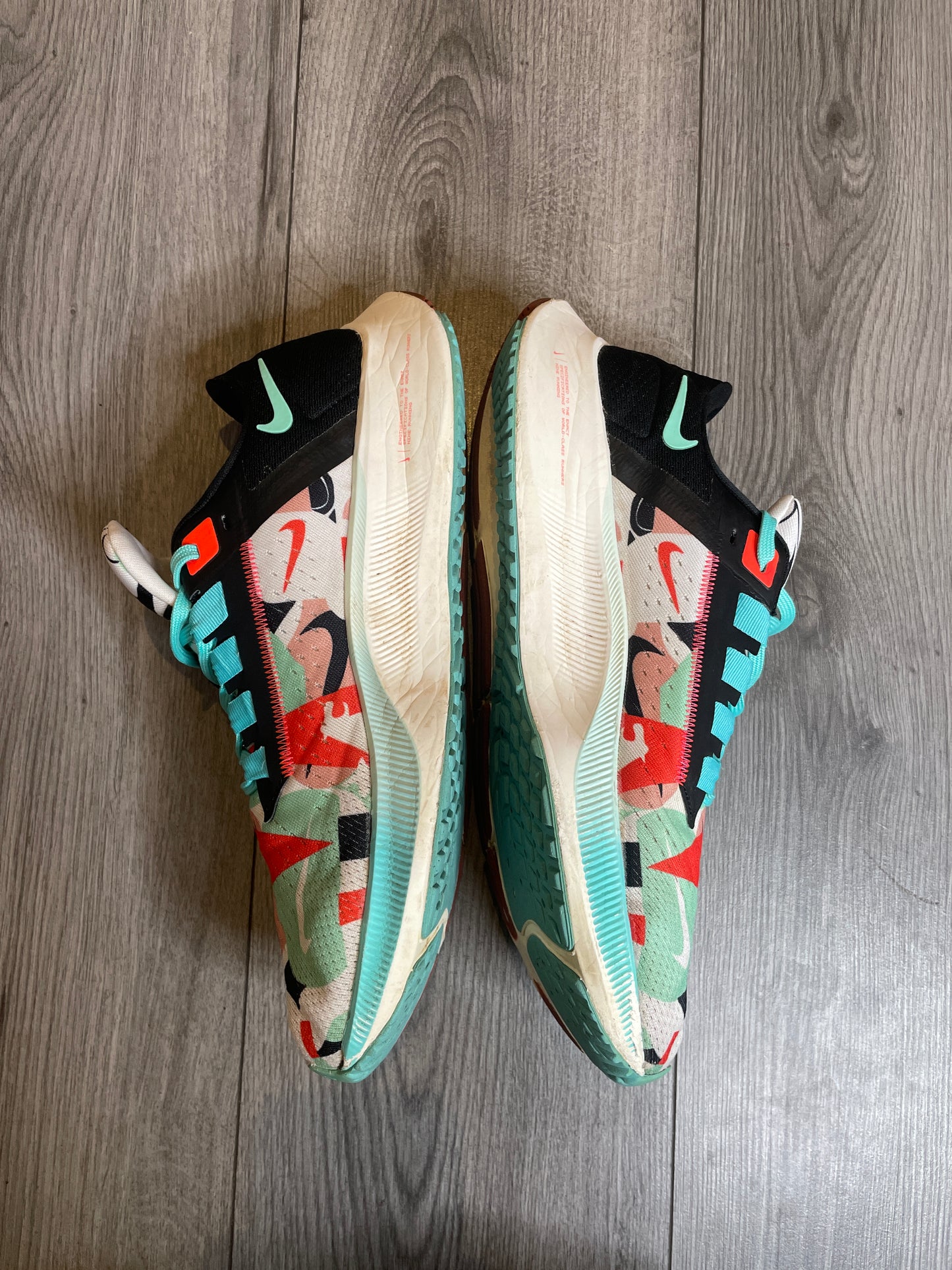 Nike Zoom Pegasus “Tokyo”