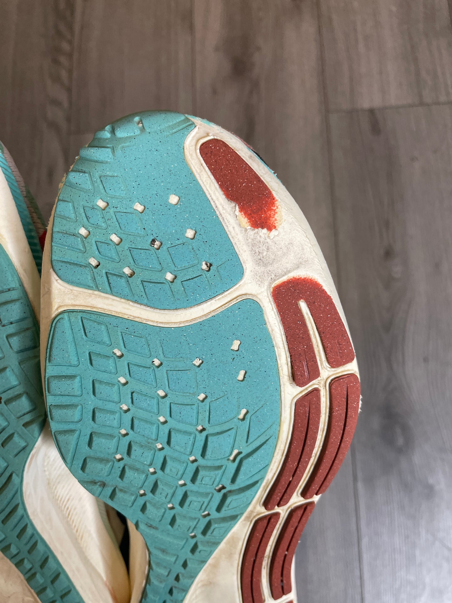 Nike Zoom Pegasus “Tokyo”