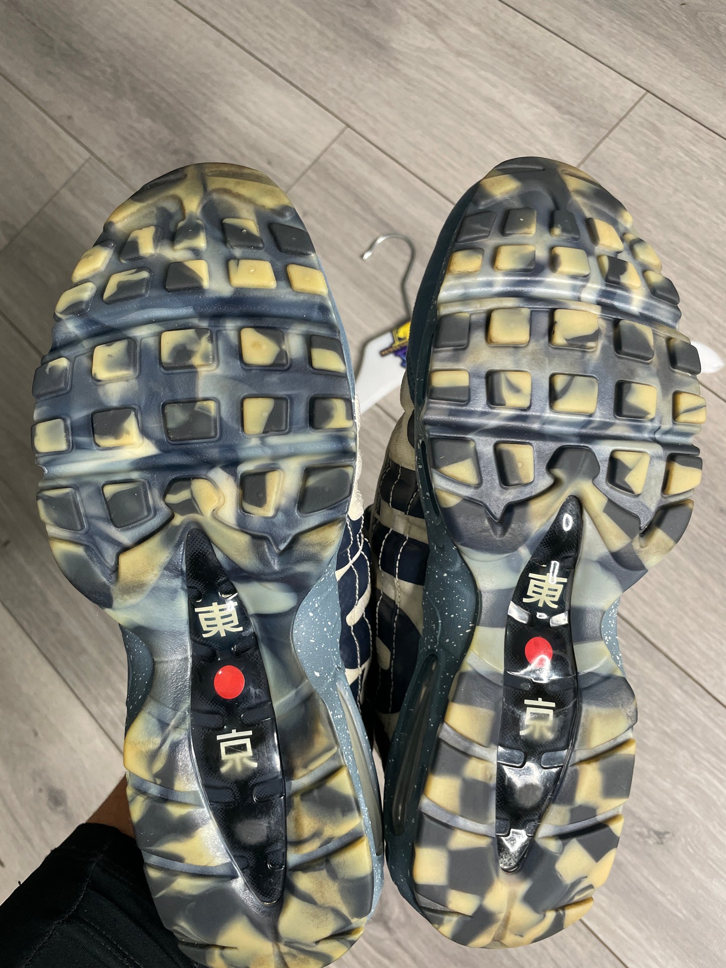 Air Max 95 Mt Fuji