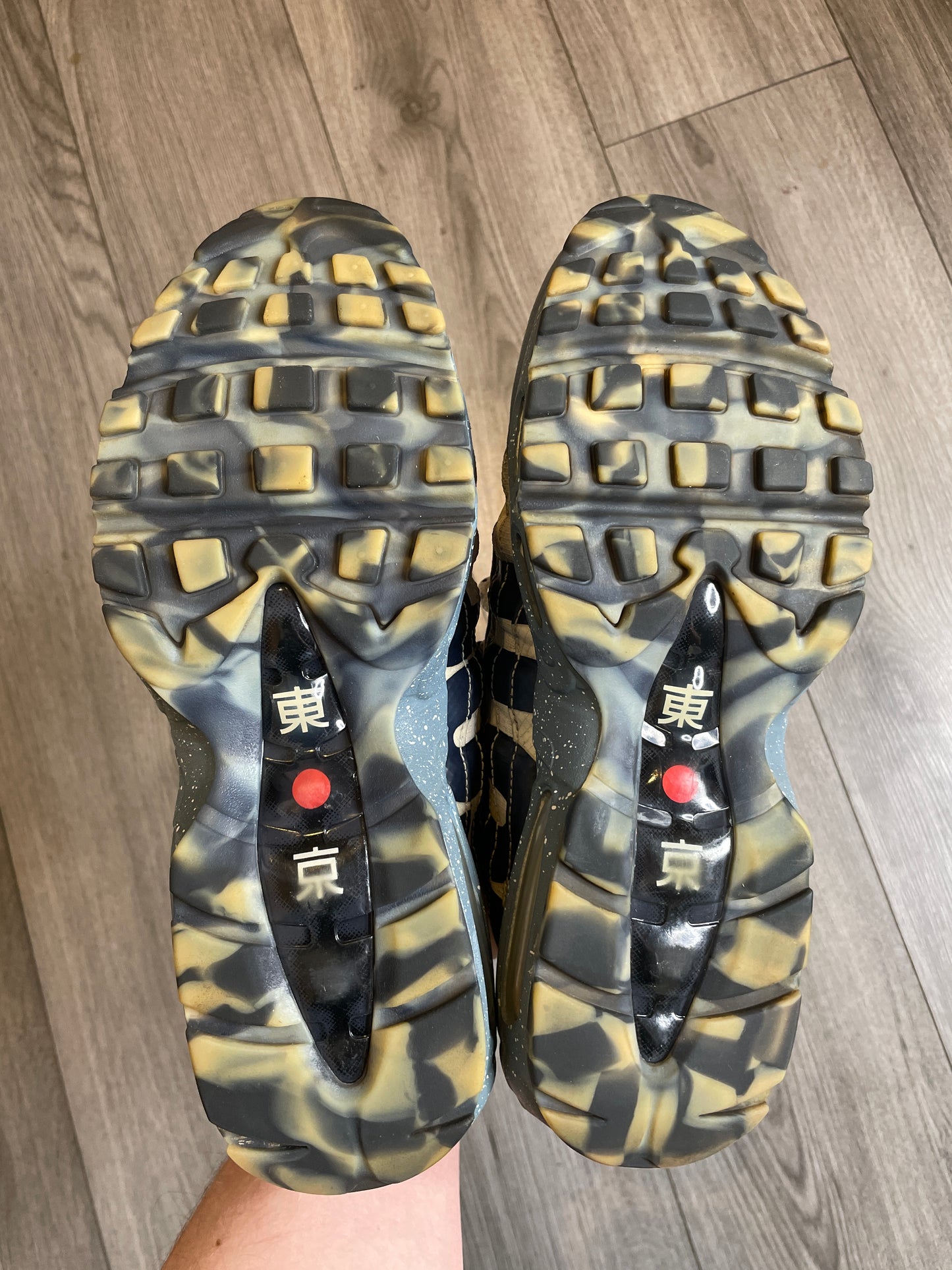 Airmax 95 mt Fuji Japan 🇯🇵