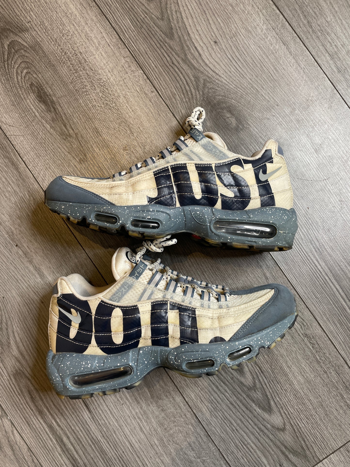 Airmax 95 mt Fuji Japan 🇯🇵