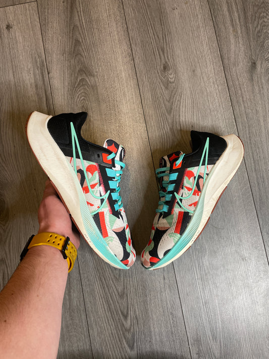 Nike Zoom Pegasus “Tokyo”