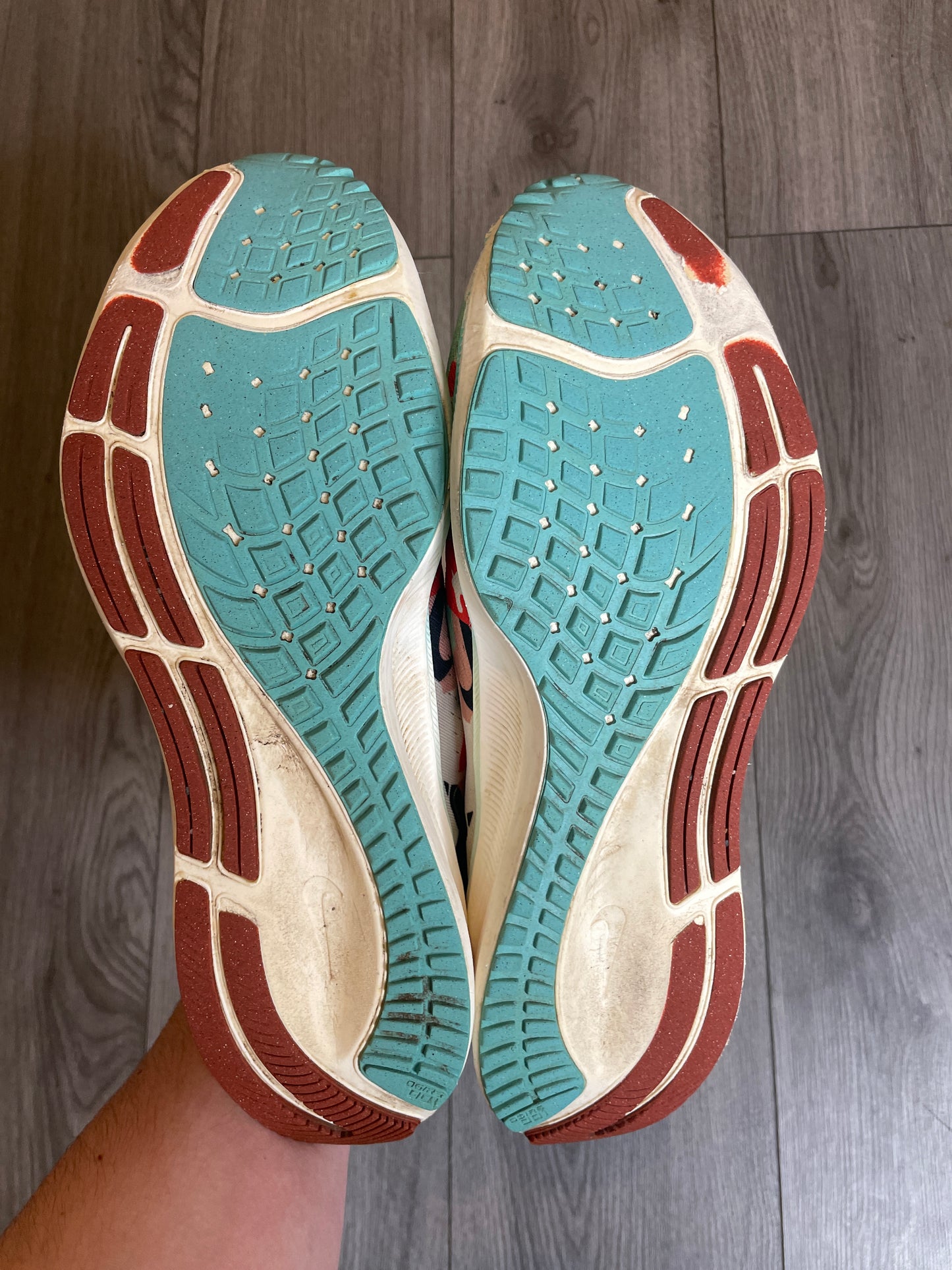 Nike Zoom Pegasus “Tokyo”