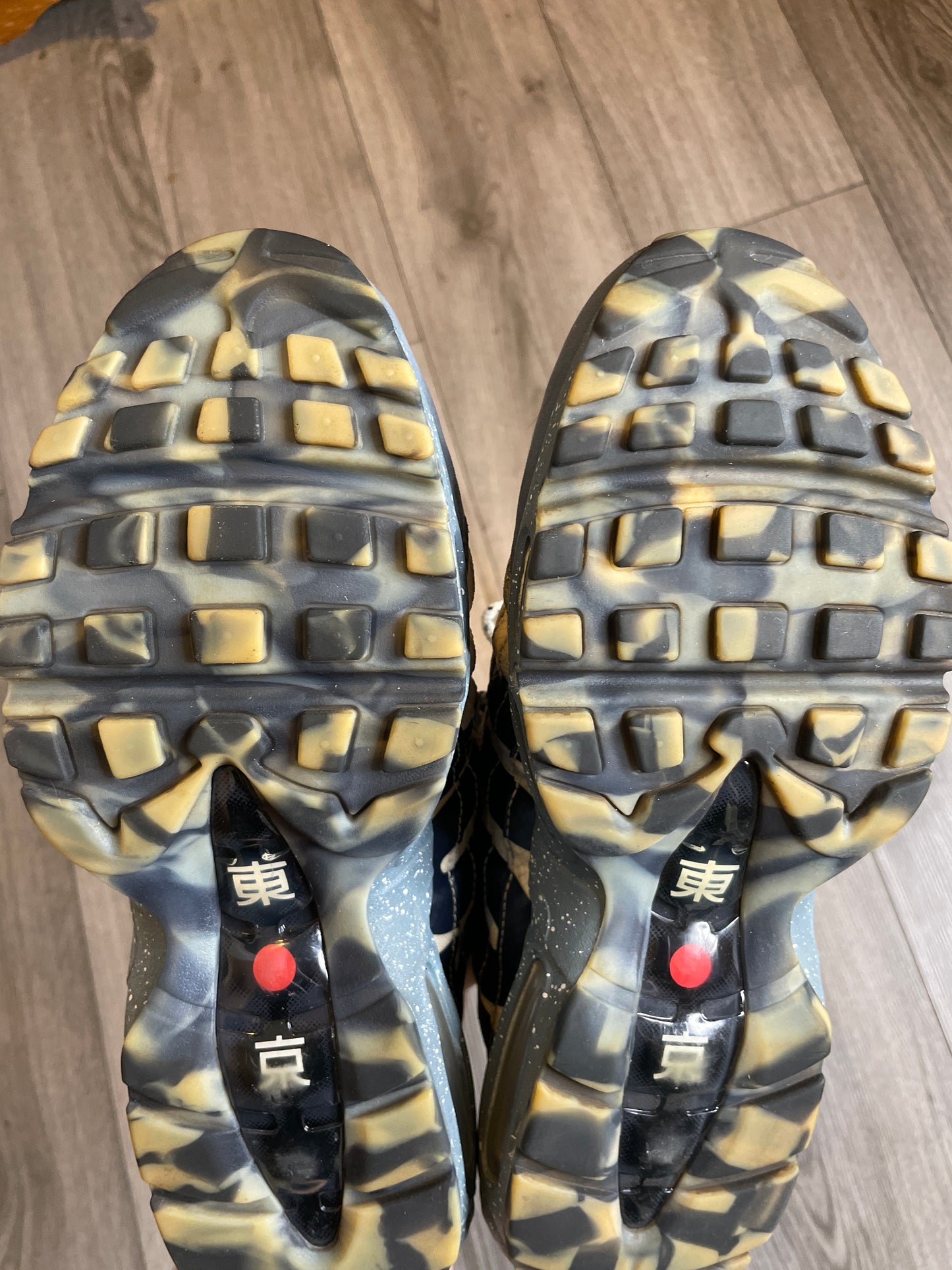Airmax 95 mt Fuji Japan 🇯🇵